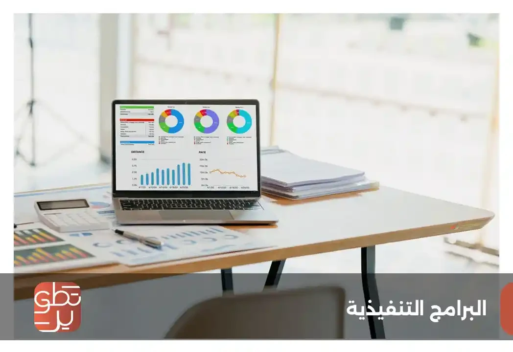 البرامج التنفيذية
